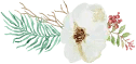 Hoa Trang Trí